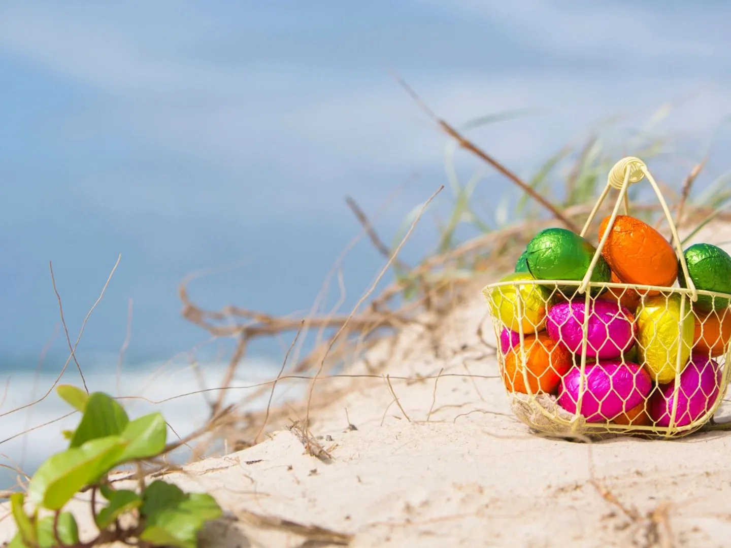 Paaseieren zoeken op Texel img